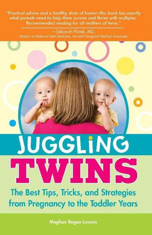 Cover of the book Juggling Twins by Meghan Regan-Loomis, Sourcebooks