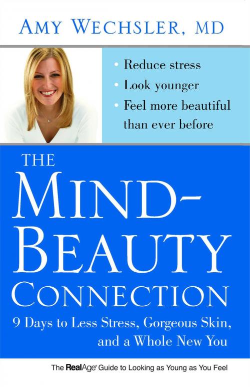Cover of the book The Mind-Beauty Connection by Dr. Amy Wechsler, Free Press