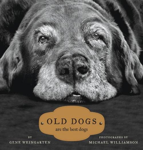 Cover of the book Old Dogs by Gene Weingarten, Michael S. Williamson, Simon & Schuster
