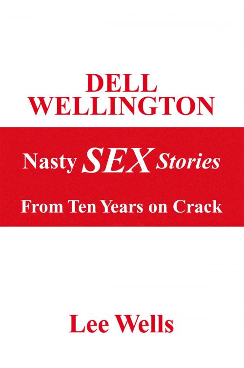 Cover of the book Dell Wellington Nasty Sex Stories by Lee Wells, Xlibris US