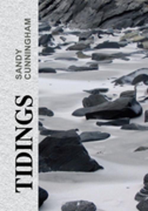 Cover of the book Tidings by SANDY CUNNINGHAM, Xlibris US