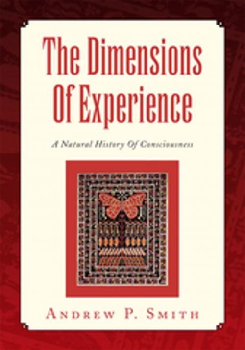 Cover of the book The Dimensions of Experience by Andrew P. Smith, Xlibris US