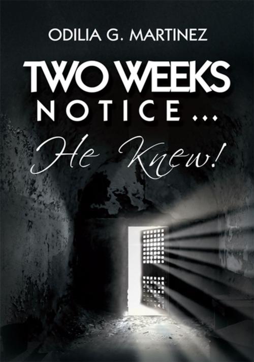 Cover of the book Two Weeks Notice… by Odilia G. Martinez, Xlibris US