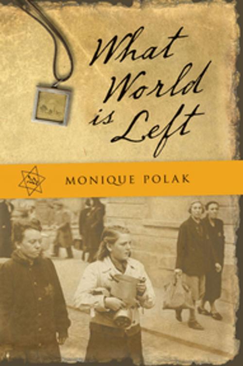 Cover of the book What World is Left by Monique Polak, Orca Book Publishers