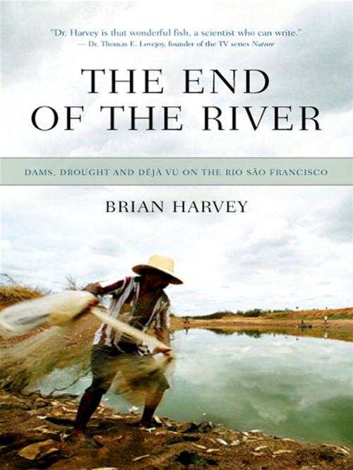 Cover of the book The End Of The River by Brian Harvey, ECW Press