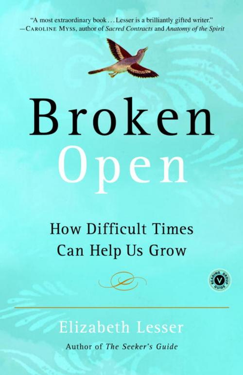 Cover of the book Broken Open by Elizabeth Lesser, Random House Publishing Group