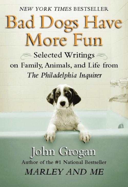 Cover of the book Bad Dogs Have More Fun by John Grogan, Hachette Books