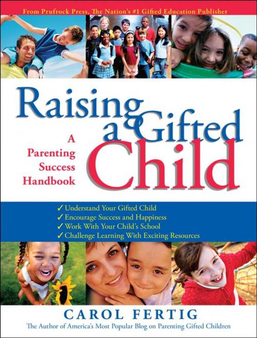 Cover of the book Raising a Gifted Child: A Parenting Success Handbook by Carol Fertig, Sourcebooks