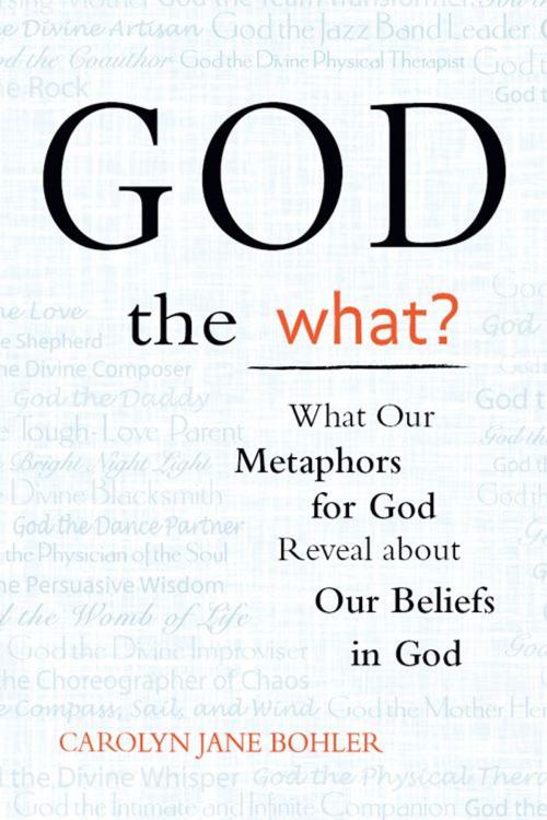Cover of the book God the What?: What Our Metaphors for God Reveal About Our Beliefs in God by Carolyn Jane Bohler, SkyLight Paths Publishing