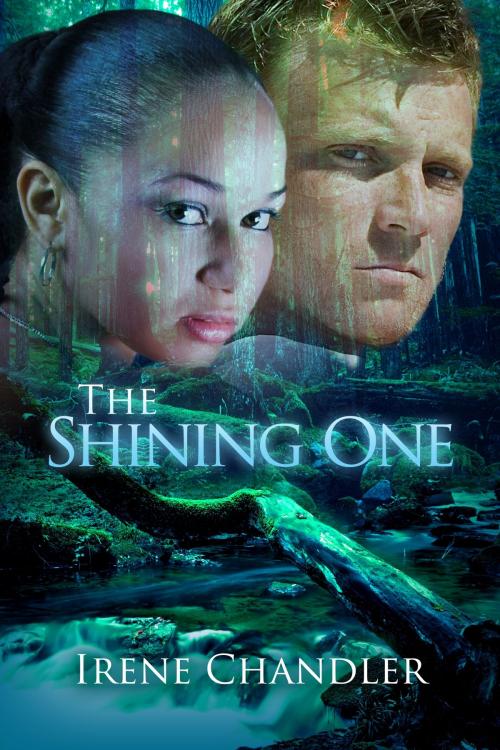 Cover of the book The Shining One by Irene Chandler, Liquid Silver Books