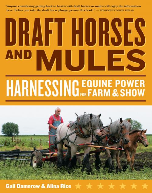 Cover of the book Draft Horses and Mules by Gail Damerow, Alina Rice, Storey Publishing, LLC