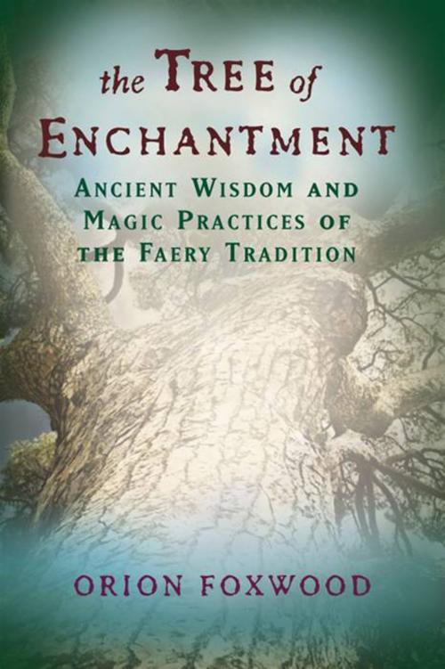 Cover of the book The Tree of Enchantment: Ancient Wisdom and Magic Practices of the Faery Tradition by Orion Foxwood, Red Wheel Weiser
