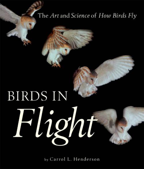 Cover of the book Birds in Flight: The Art and Science of How Birds Fly by Carrol L. Henderson, Steve Adams, MBI Publishing Company