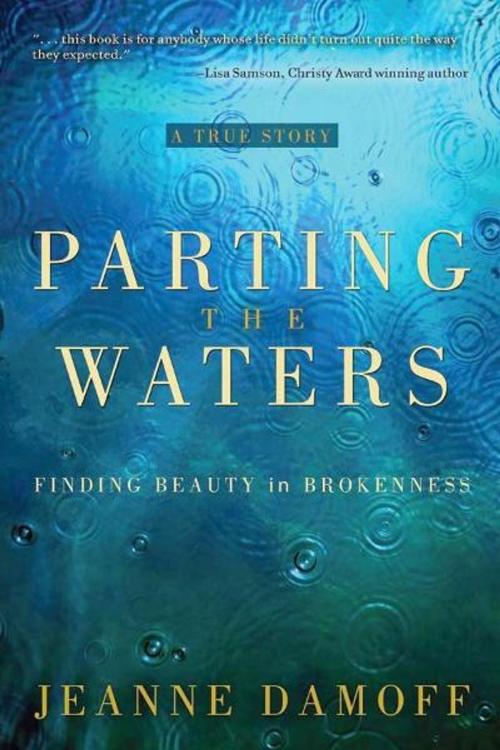 Cover of the book Parting the Waters by Jeanne Damoff, BookBaby