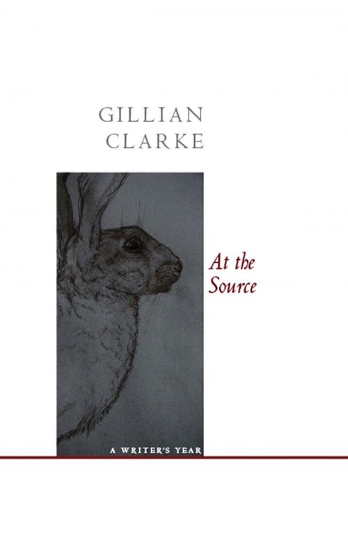 Cover of the book At the Source by Gillian Clarke, Carcanet Press Ltd.
