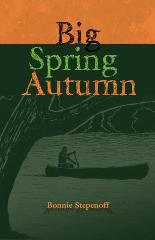 Cover of the book Big Spring Autumn by Bonnie Stepenoff, Truman State University Press