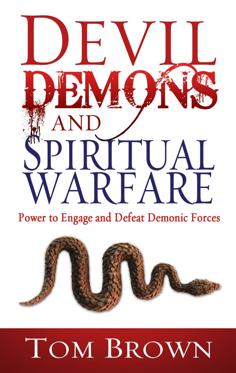 Big bigCover of Devil Demons & Spiritual Warfare