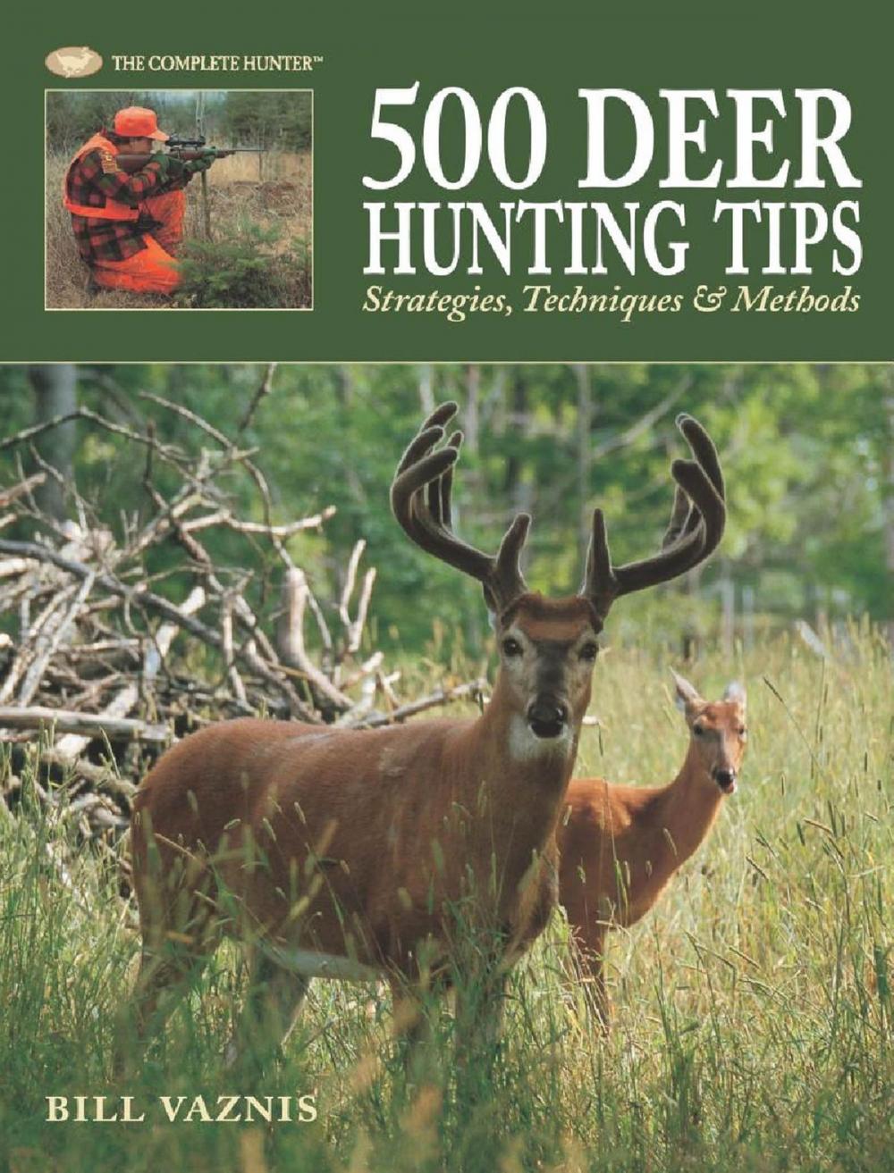 Big bigCover of 500 Deer Hunting Tips: Strategies, Techniques & Methods