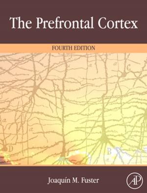 Book cover of The Prefrontal Cortex