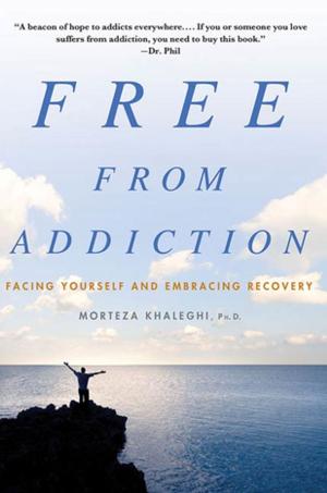 Cover of the book Free from Addiction by Stefanie Pintoff