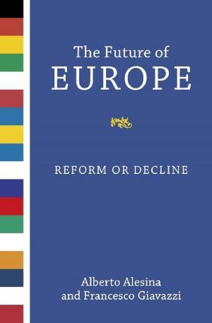Cover of the book The Future of Europe by Owen Flanagan
