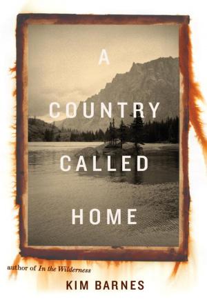 Cover of the book A Country Called Home by Finbarr Livesey