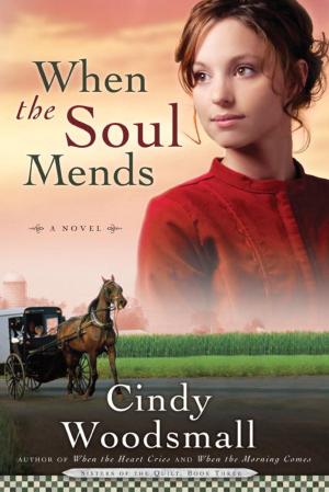 Cover of the book When the Soul Mends by Melody Carlson