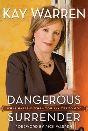 Cover of the book Dangerous Surrender by Walter Wangerin Jr.