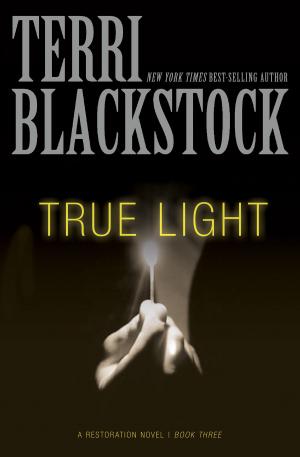 Cover of the book True Light by Brian D. McLaren