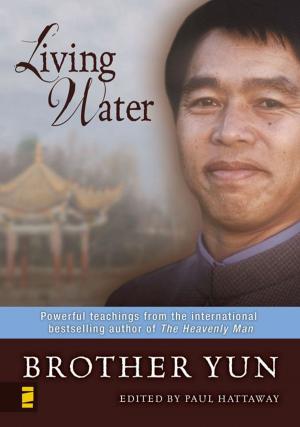 Cover of the book Living Water by Mick Boersma, Michael Anthony