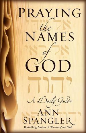 Cover of the book Praying the Names of God by Sheila Walsh