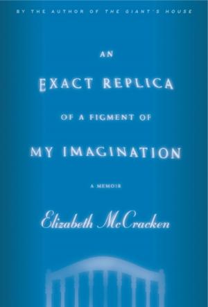 Cover of the book An Exact Replica of a Figment of My Imagination by Jimmy Buffett