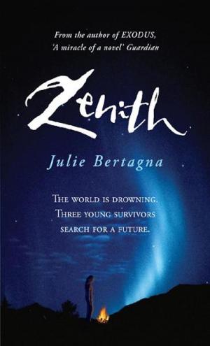 Cover of the book Zenith by Mary Hocking