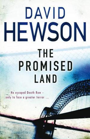 Book cover of The Promised Land