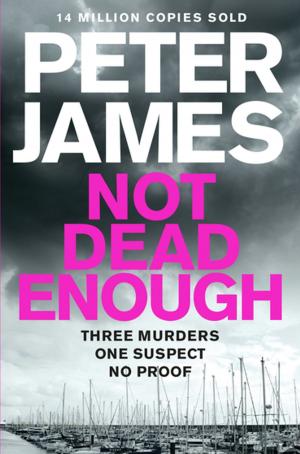 Cover of the book Not Dead Enough by Graham Bartlett, Peter James