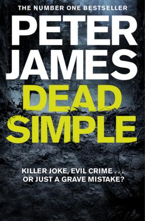 Cover of the book Dead Simple by Arthur Haberman
