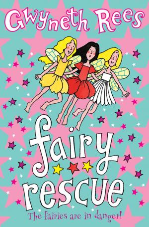 Cover of the book Fairy Rescue by David Hewson