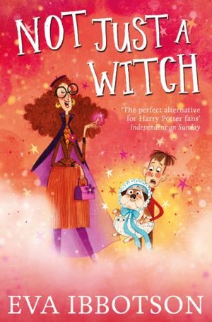 Cover of the book Not Just a Witch by Sir Tony Robinson