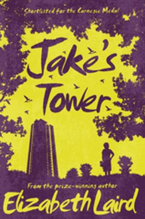 Book cover of Jake's Tower