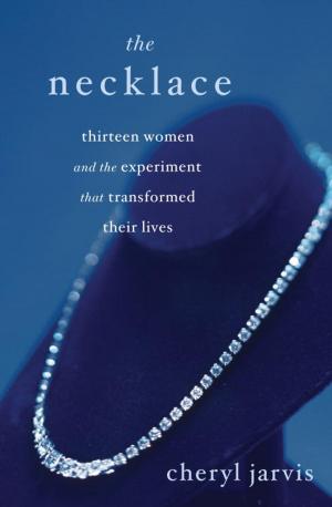 Cover of the book The Necklace by Peter Abrahams