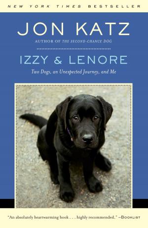 Cover of the book Izzy &amp; Lenore by Megan Stine