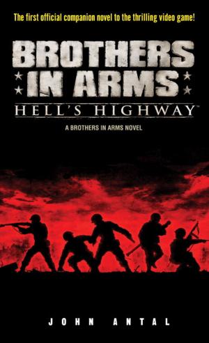 Cover of the book Brothers in Arms: Hell's Highway by Harry Turtledove