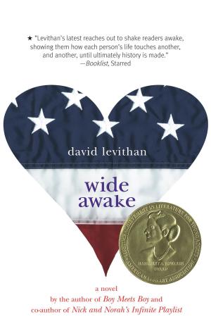 Cover of the book Wide Awake by Susan Adrian