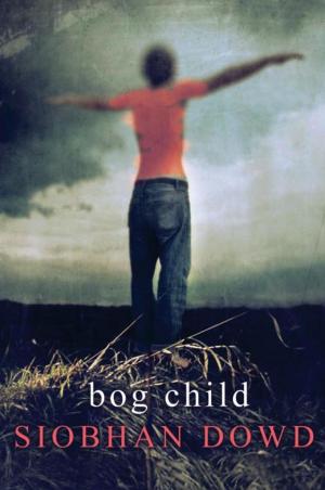 Cover of the book Bog Child by Alex Woolf