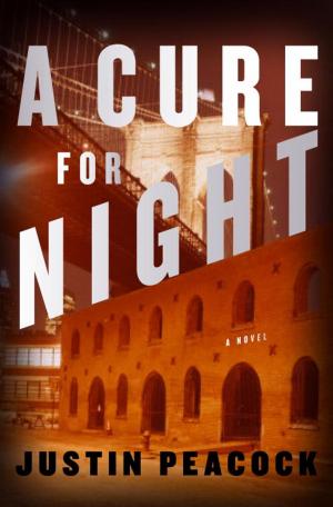 Cover of the book A Cure for Night by Joan Nathan