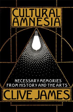 Cover of the book Cultural Amnesia: Necessary Memories from History and the Arts by Kip Thorne