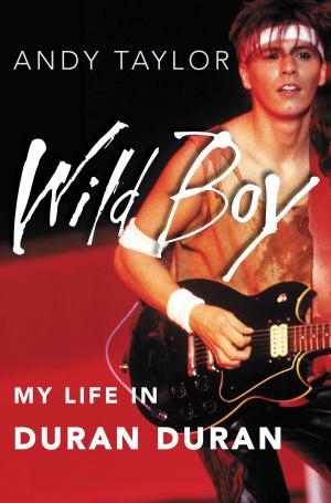 Cover of the book Wild Boy by Annie Solomon