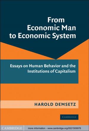 Cover of the book From Economic Man to Economic System by Dirk Van Gerven