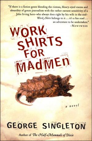Cover of the book Work Shirts for Madmen by Eudora Welty