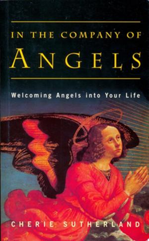 Cover of the book In the Company of Angels by Viktor Schauberger